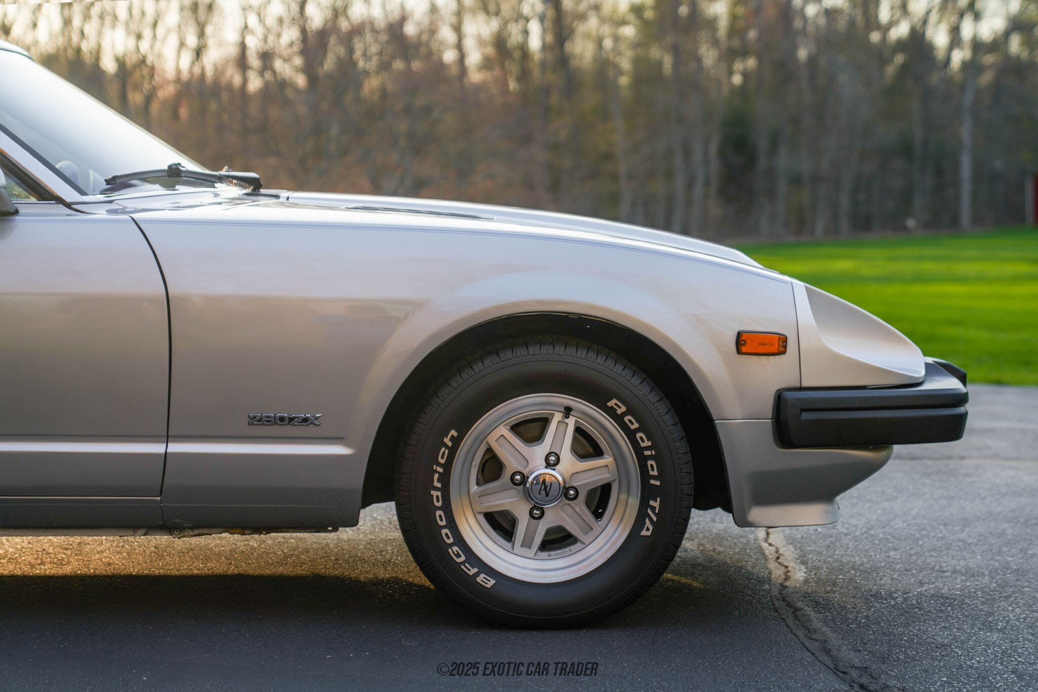 Kidney, Anyone? Datsun 280ZX 10th Anniversary Edition
